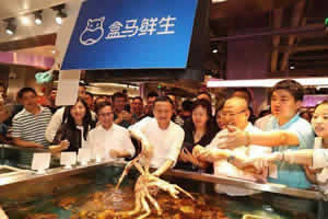 Xian Local Tour: Experience the High Tech of Alibaba Market in Xian City