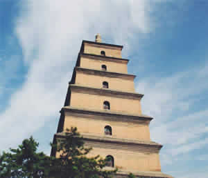 Best of Xian in 1 Day: Shaanxi History Museum, Big Wild Goose Pagoda, Xian Great Mosque, Muslim Quarter