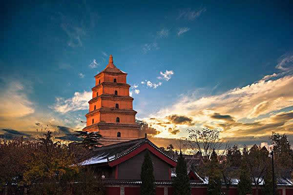 City Sightseeing in Xian: Xian Half Day Tour to Big Wild Goose Pagoda and Shaanxi History Museum