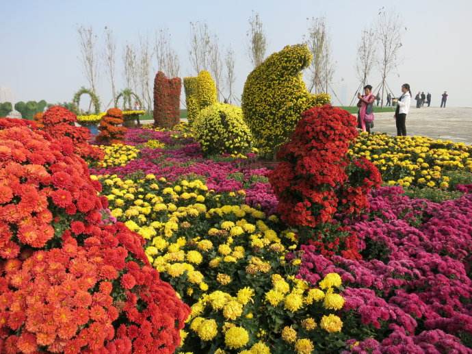 Xian Private Tour with Xi'an Botanical Garden