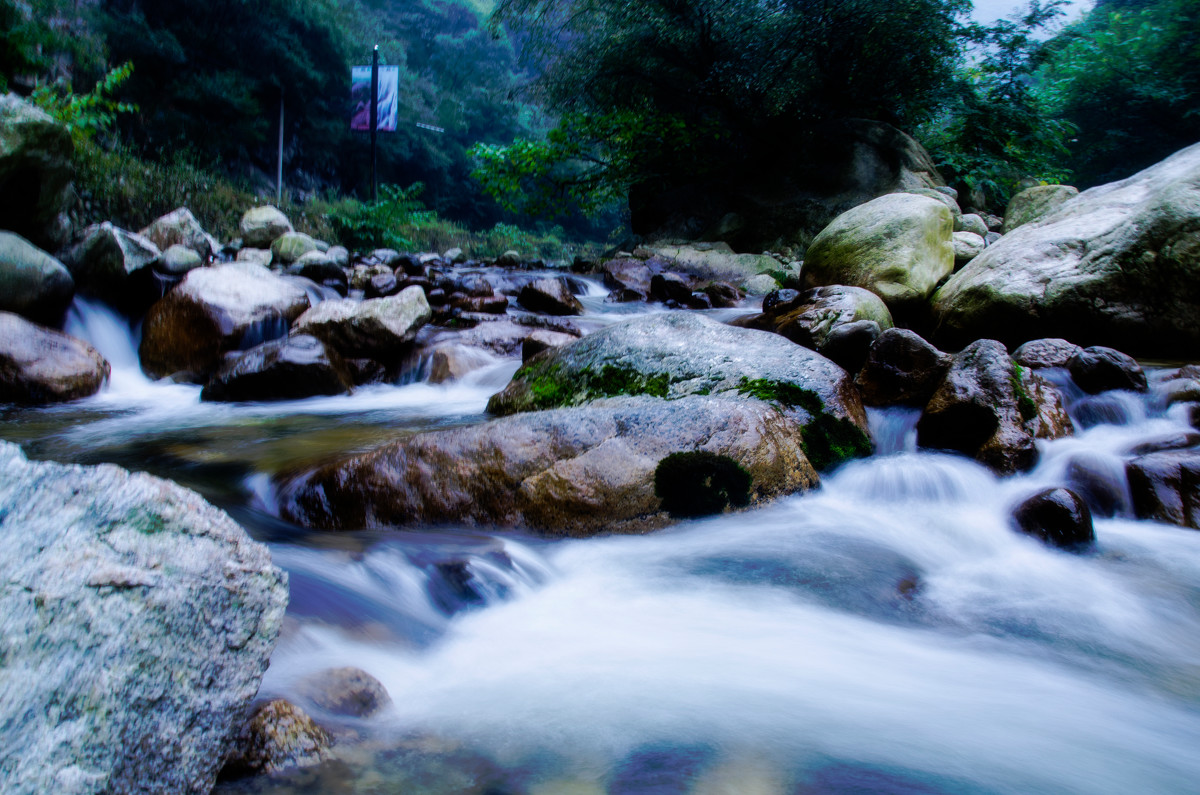 taiping_national_forest_park4.jpg