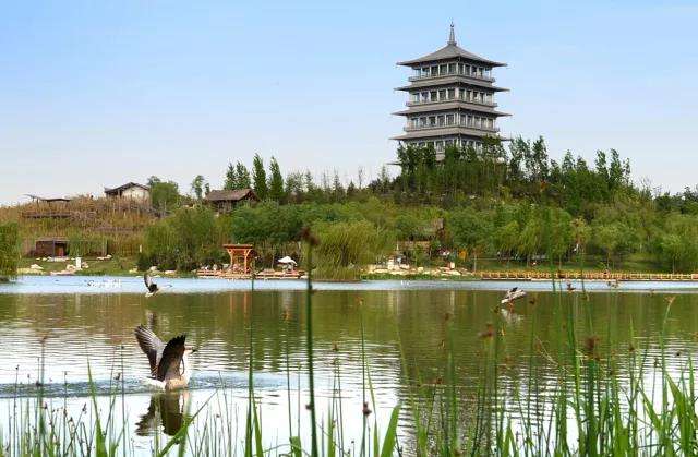 Xi'an China International Horticultural Exposition changan tower