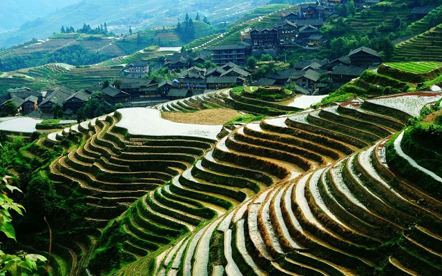 china_private_tour_with_longji_terrace