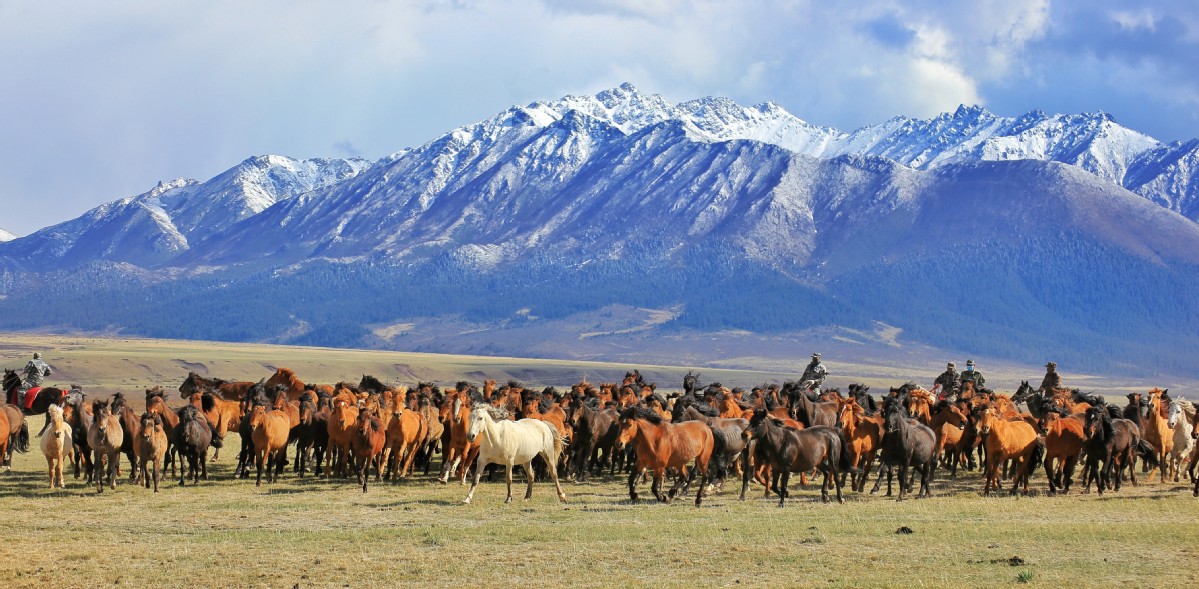 zhangye_silk_road_travel_news