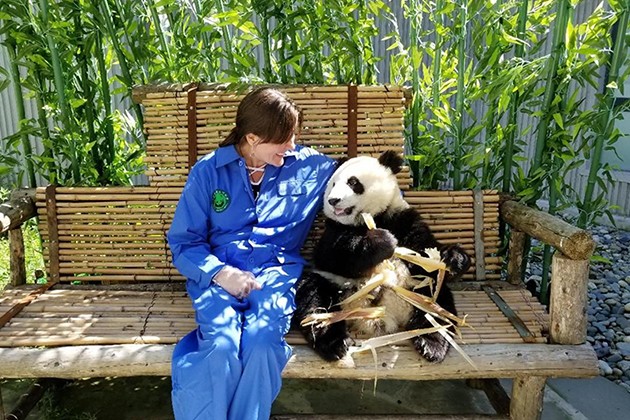 Panda-Volunteer-Program-Experience