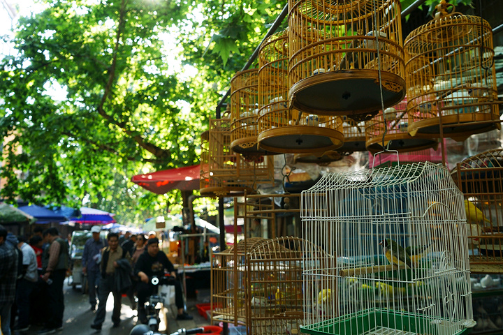 Xi'an-Xican-Market-Experience