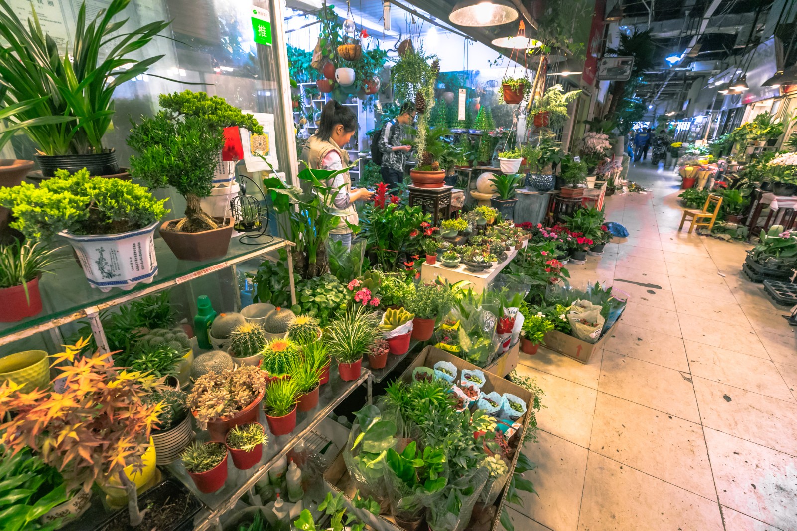 Xi'an-Xican-Flower-And-Bird-Barket