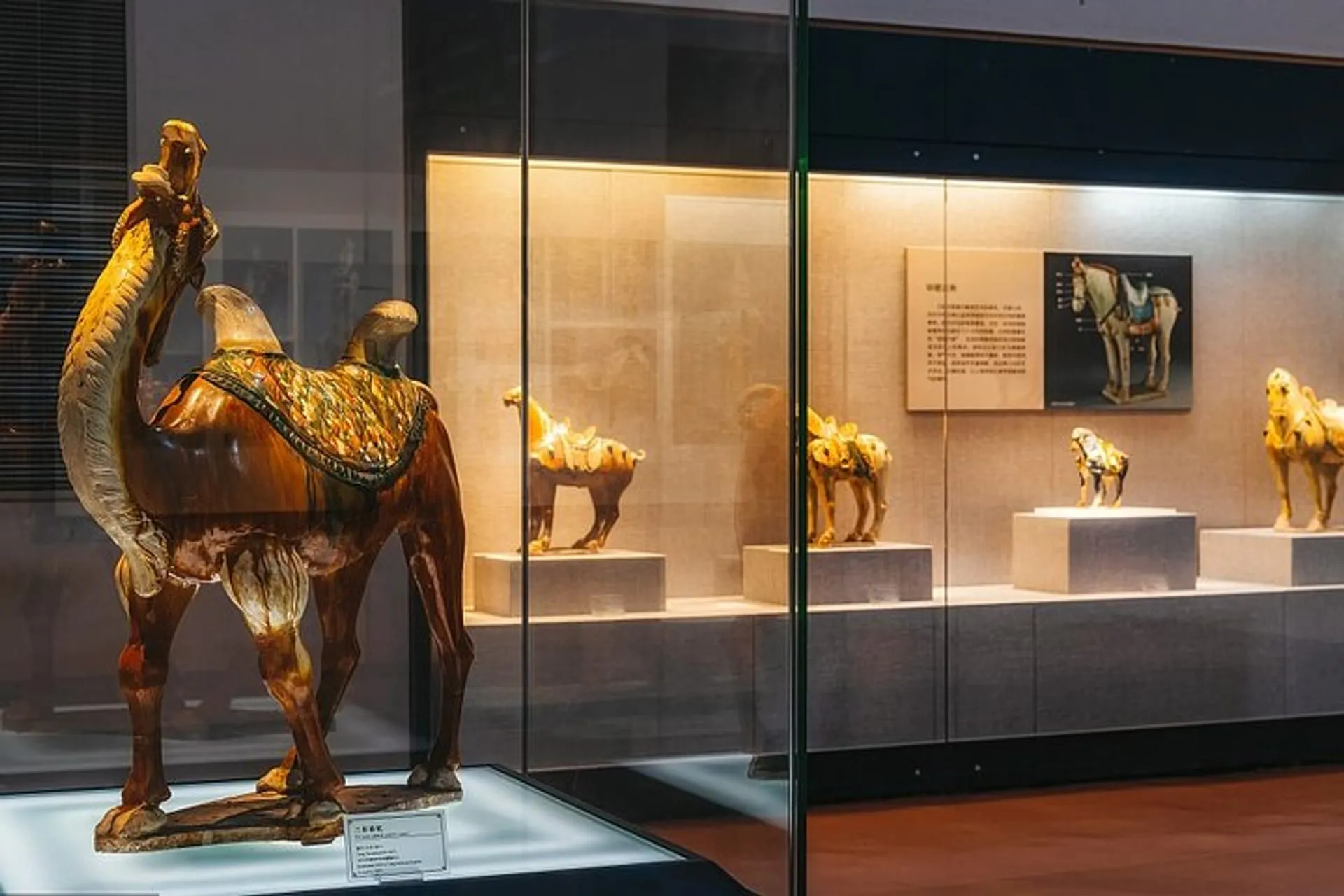 luoyang-museum-and-luoyang-city-private-tour