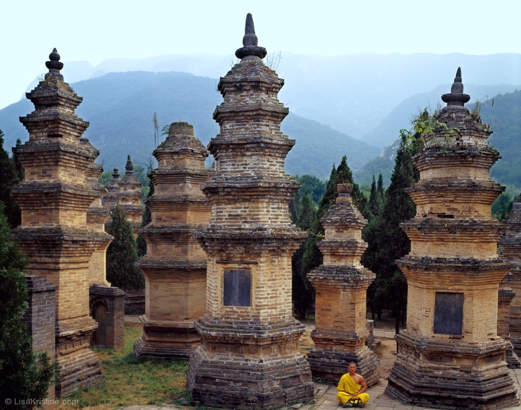 pagoda-forest-china