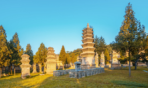 Pagoda-Forest-henan