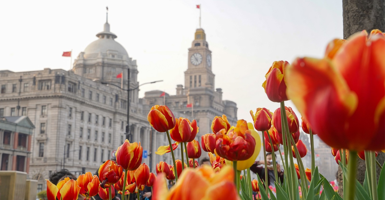 the-bund-shanghai