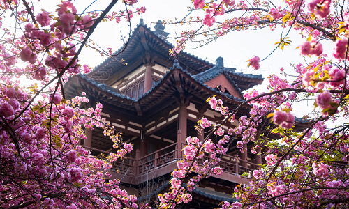 Xian-Qinglong-Temple-tour