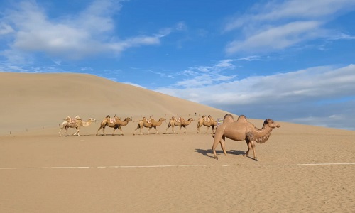 Camel-riding-at-Mingsha-Mountain Camel-riding-at-Mingsha-Mountain