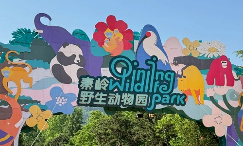 Qinling-Wild-Animal-Park-xian Qinling-Wild-Animal-Park-xian