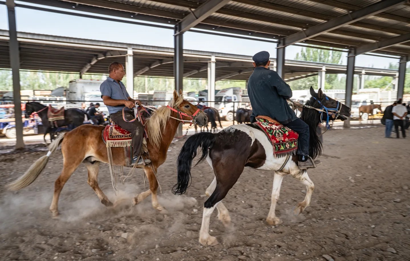 livestock-market livestock-market