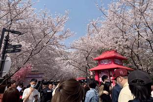 Qinglong-Temple-Cherry-Blossom-Festival Qinglong-Temple-Cherry-Blossom-Festival