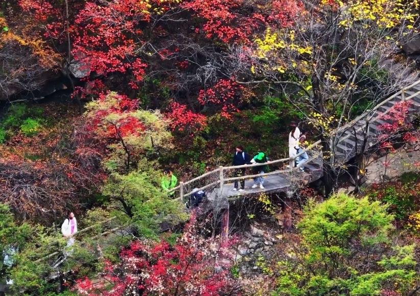 Qinling-National-Park-Red-Leaf-Festival Qinling-National-Park-Red-Leaf-Festival