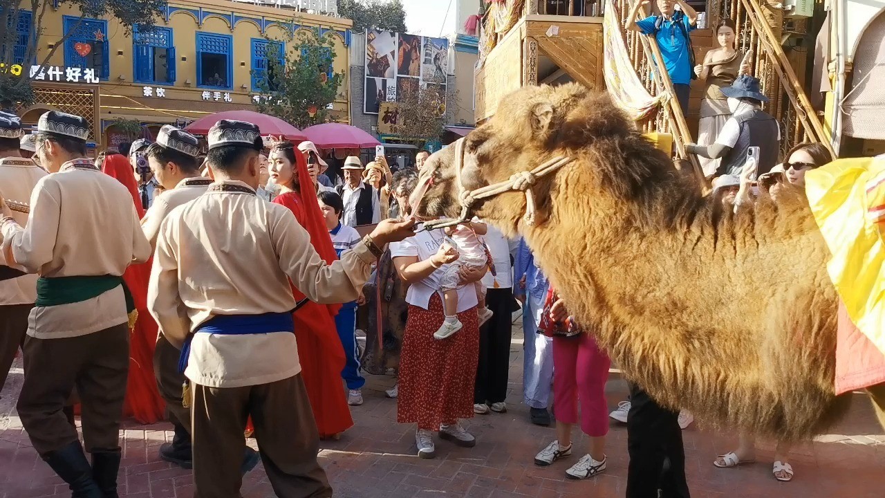 camel-team-parade camel-team-parade