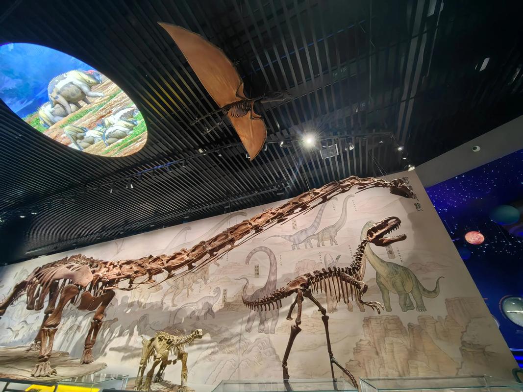 Xinjiang-Geological-and-Mineral-Museum2 Xinjiang-Geological-and-Mineral-Museum2