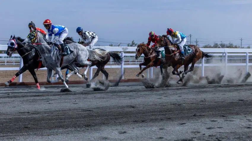 horse-racing horse-racing