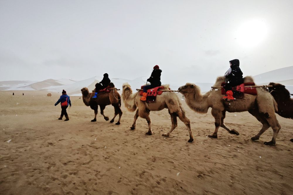 Camel-Caravan-Riding1 Camel-Caravan-Riding1